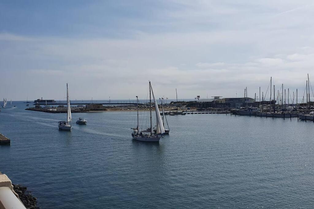 Appartement Avec Balcon, Vue Mer, Piscine, Parking Agde Eksteriør bilde